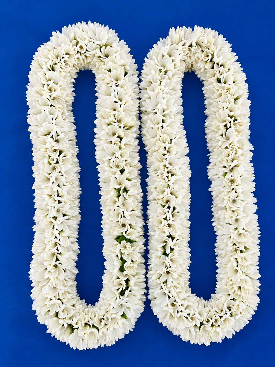 Couronne de cou royale classique blanc